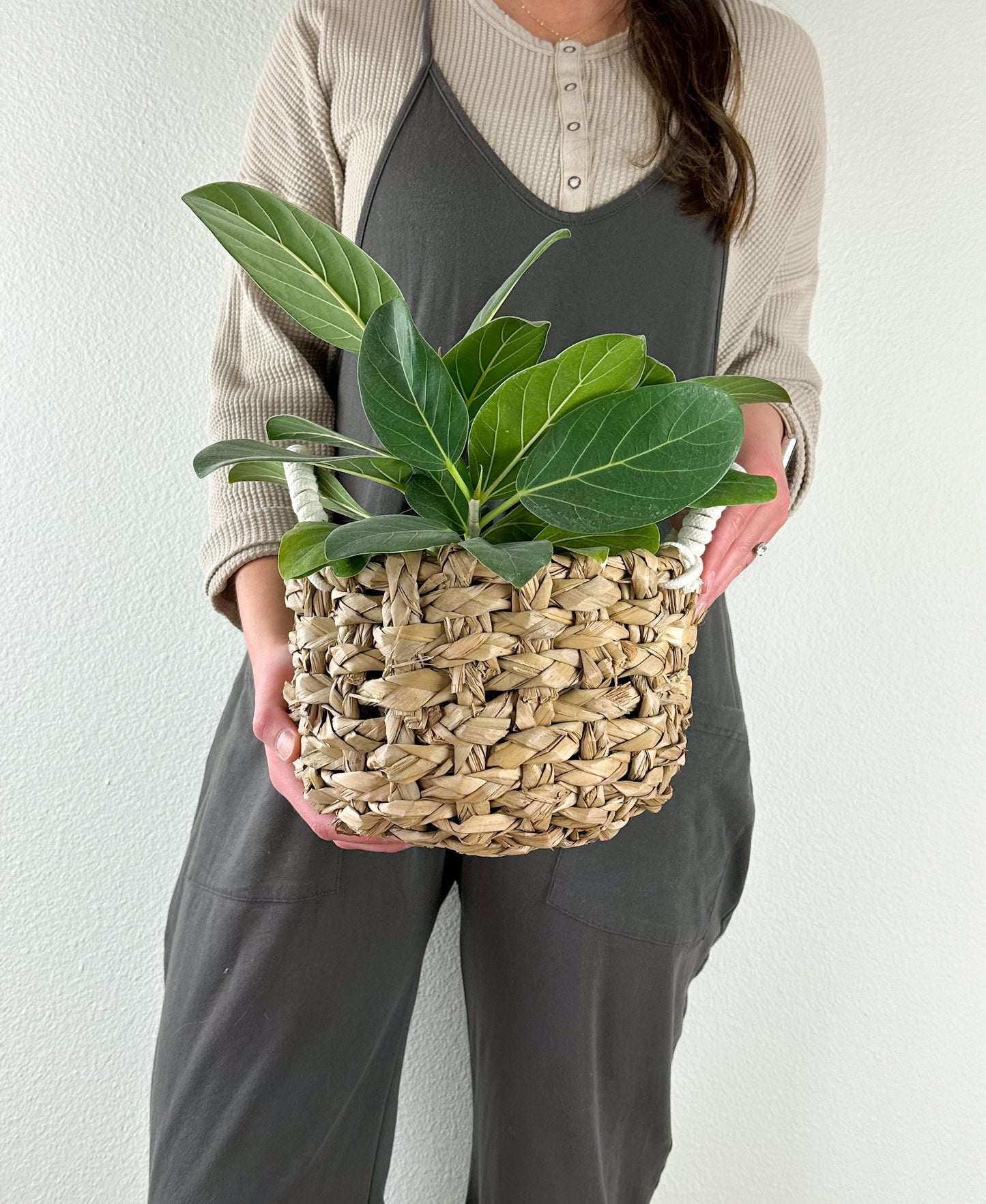 Seagrass Basket